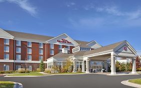 Hilton Garden Inn Detroit/Novi